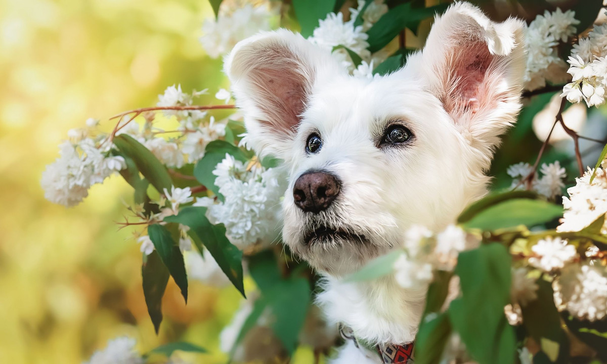 Διάβασε την προσωπική σου πρόβλεψη, για σήμερα 08/04/2026