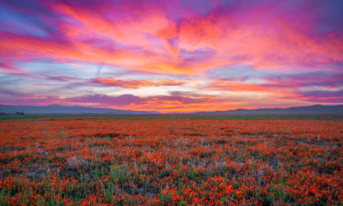 Διάβασε την προσωπική σου πρόβλεψη, για σήμερα 07/04/2026
