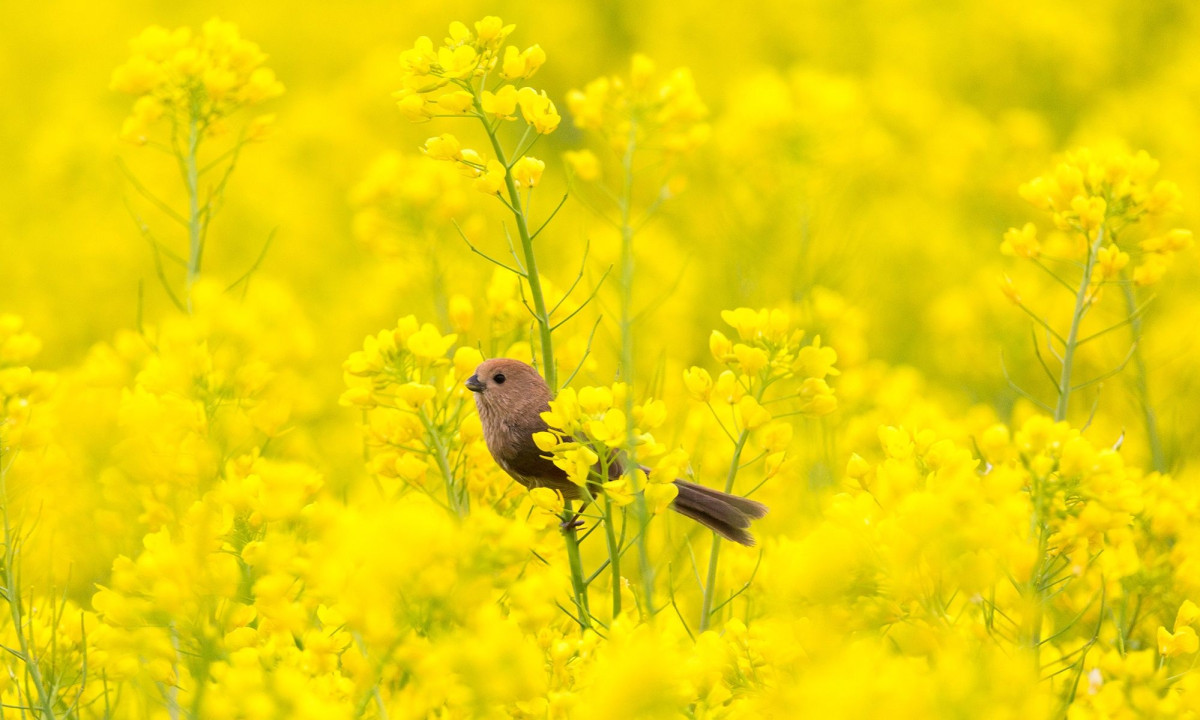 Διάβασε την προσωπική σου πρόβλεψη, για σήμερα 04/04/2026