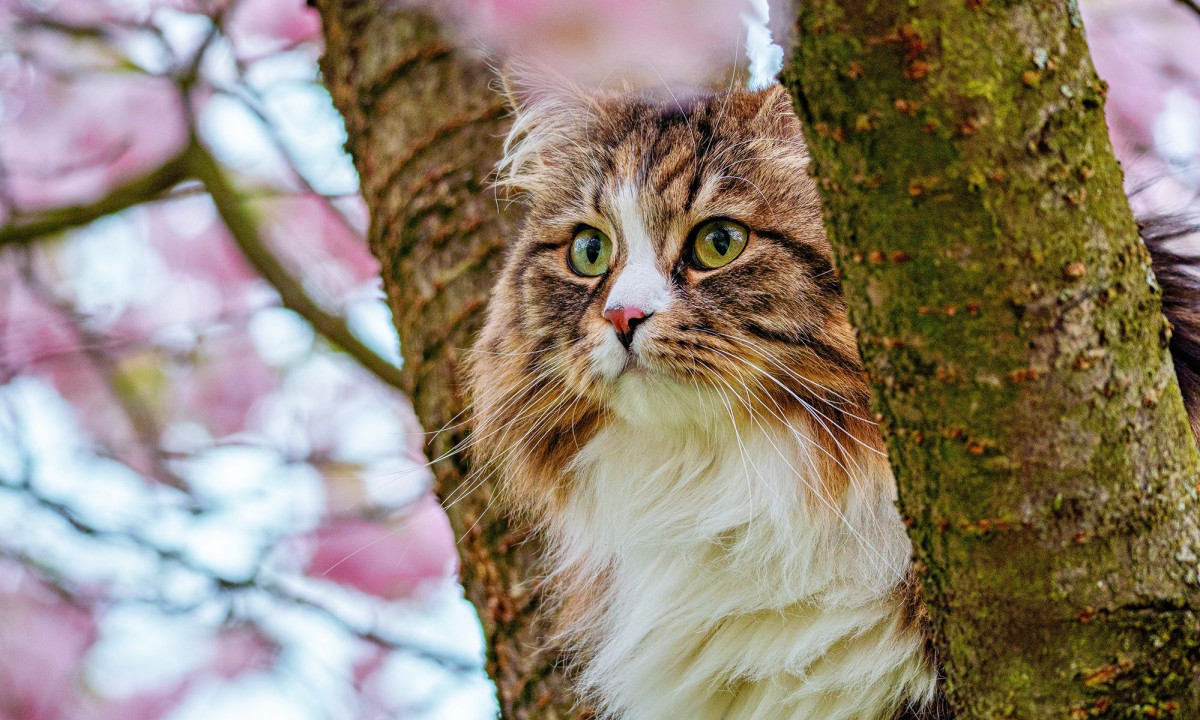 Διάβασε την προσωπική σου πρόβλεψη, για σήμερα 02/04/2026