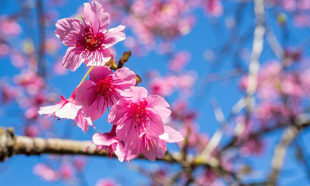 Διάβασε την προσωπική σου πρόβλεψη, για σήμερα 11/04/2026