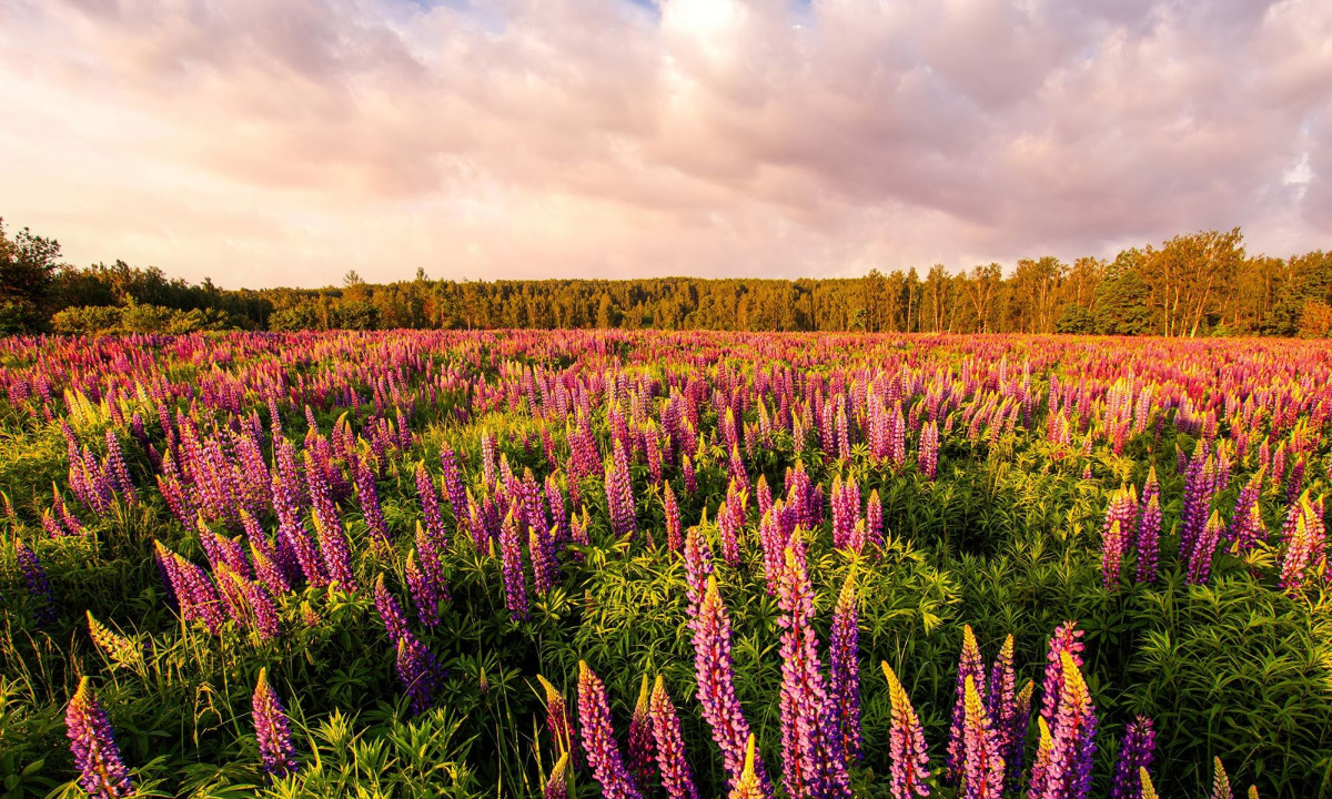 Διάβασε την προσωπική σου πρόβλεψη, για σήμερα 25/04/2026