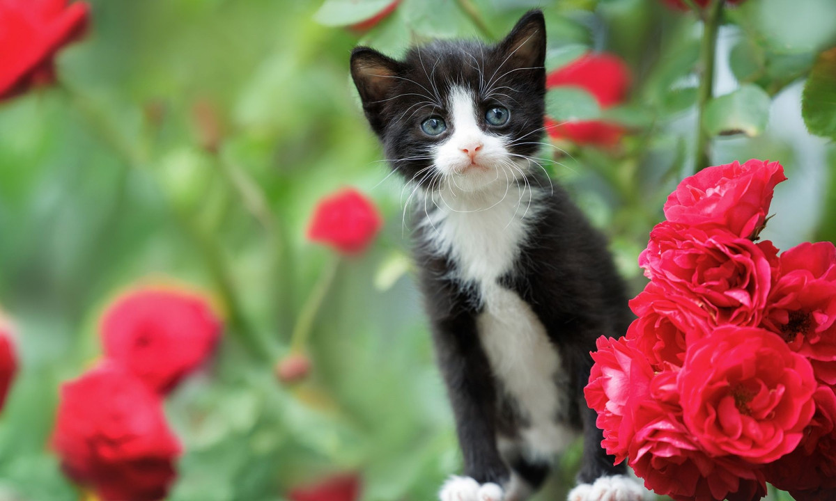 Διάβασε την προσωπική σου πρόβλεψη, για σήμερα 24/04/2026