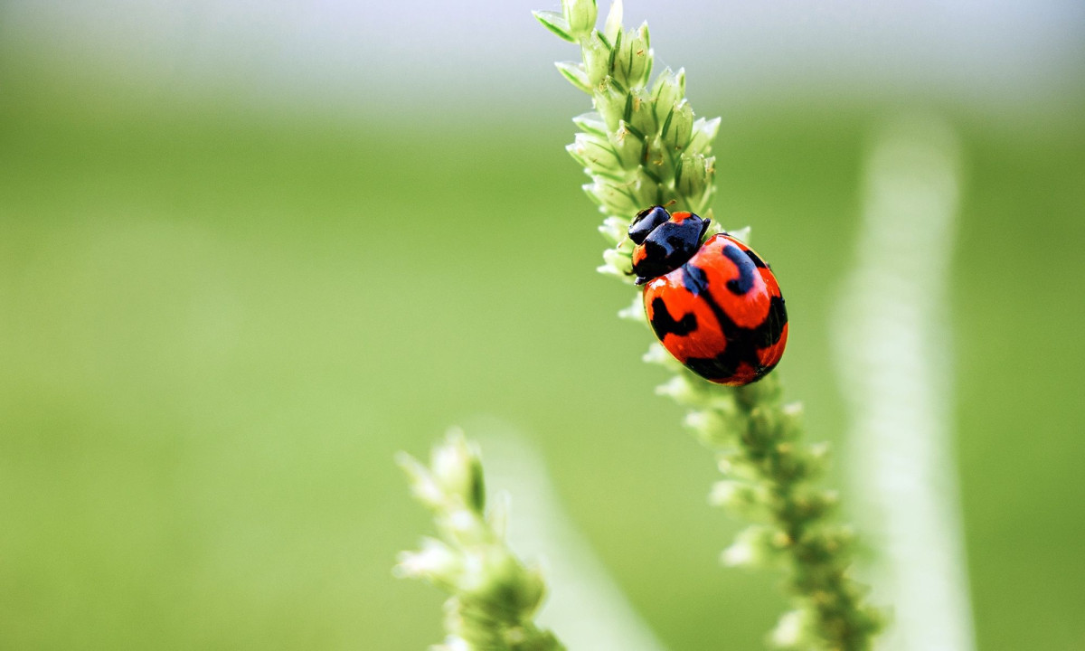 Διάβασε την προσωπική σου πρόβλεψη, για σήμερα 14/04/2026