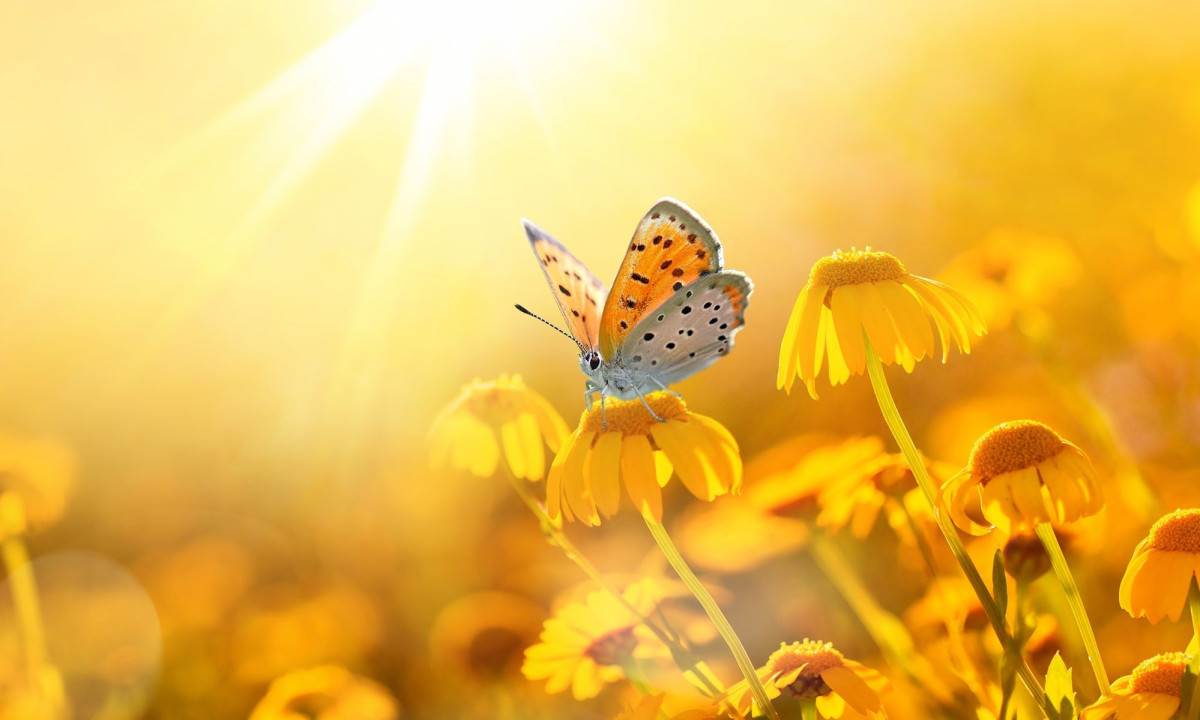 Διάβασε την προσωπική σου πρόβλεψη, για σήμερα 17/04/2026