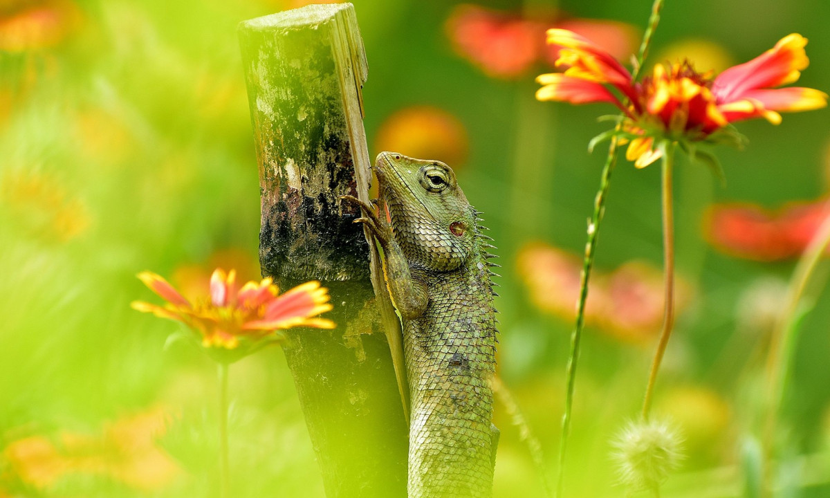 Διάβασε την προσωπική σου πρόβλεψη, για σήμερα 18/04/2026