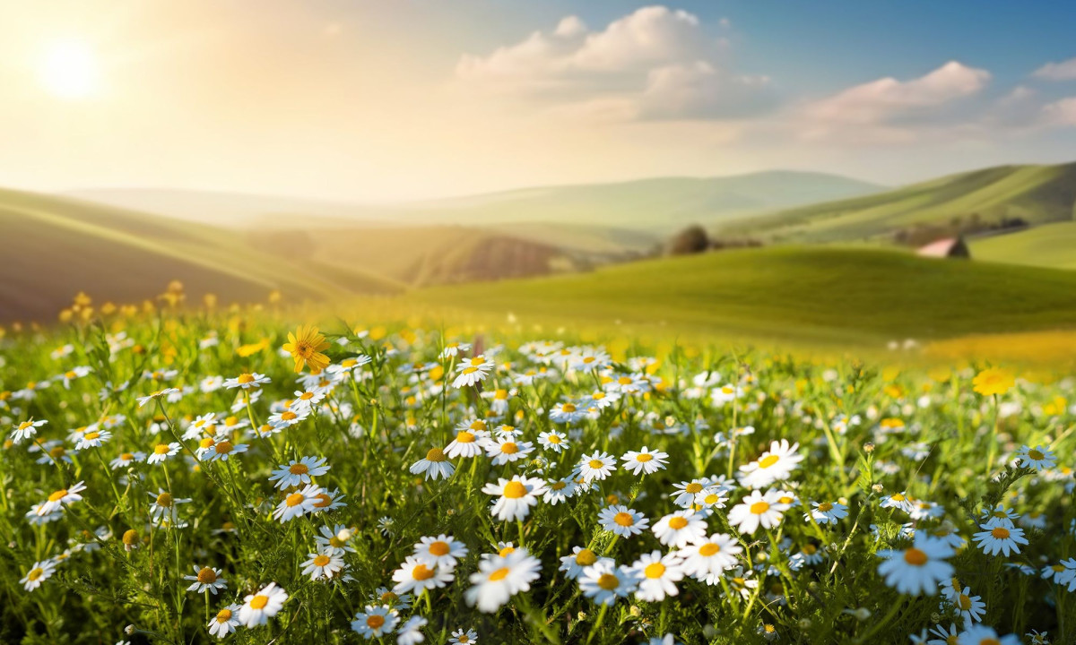 Διάβασε την προσωπική σου πρόβλεψη, για σήμερα 13/04/2026