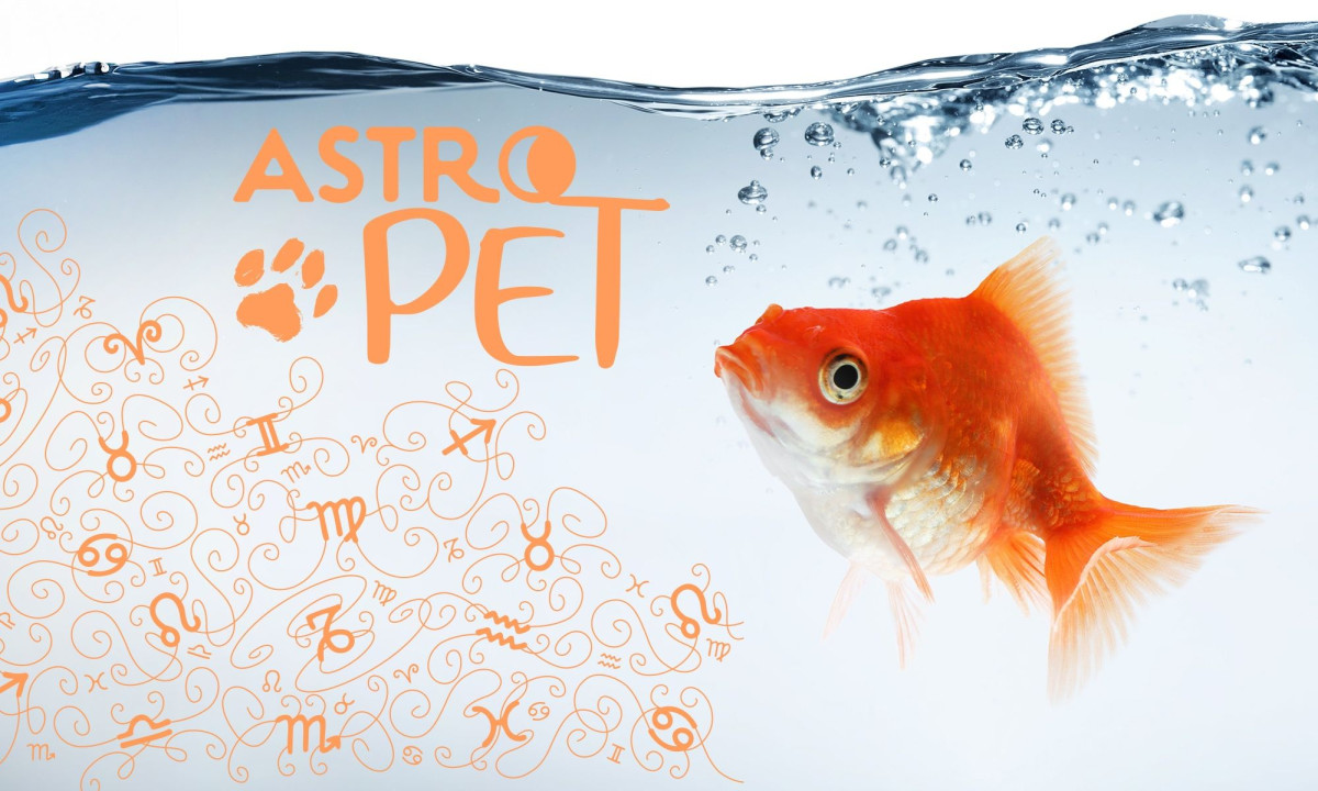 AstroPet από 14/04 έως 20/04: Εβδομαδιαίες προβλέψεις για το κατοικίδιό σου