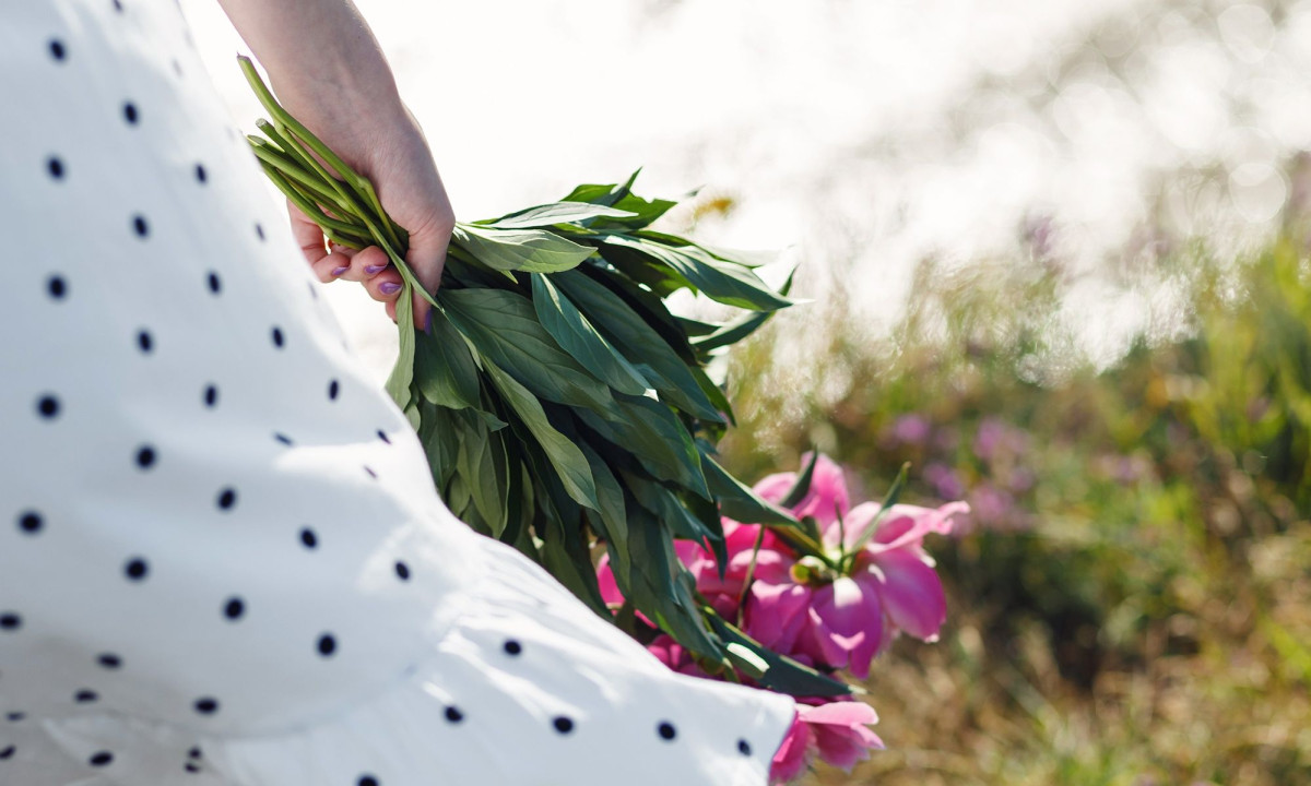 Ημερήσιες Προβλέψεις για όλα τα Ζώδια, 29/04/26: Ισορροπίες που δοκιμάζονται