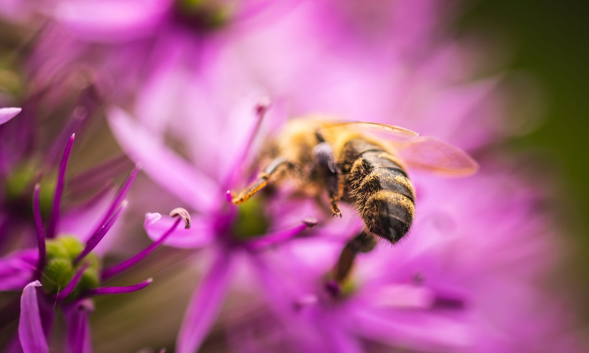 Διάβασε την προσωπική σου πρόβλεψη, για σήμερα 28/04/2026