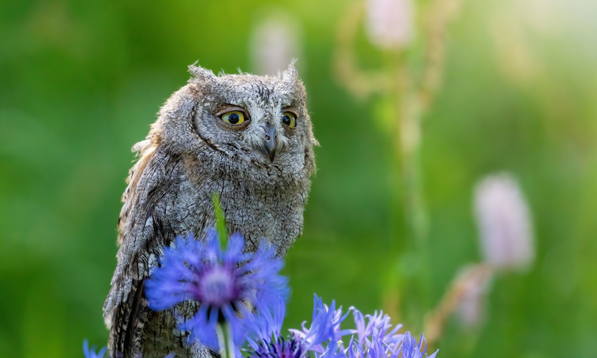 Διάβασε την προσωπική σου πρόβλεψη, για σήμερα 26/04/2026