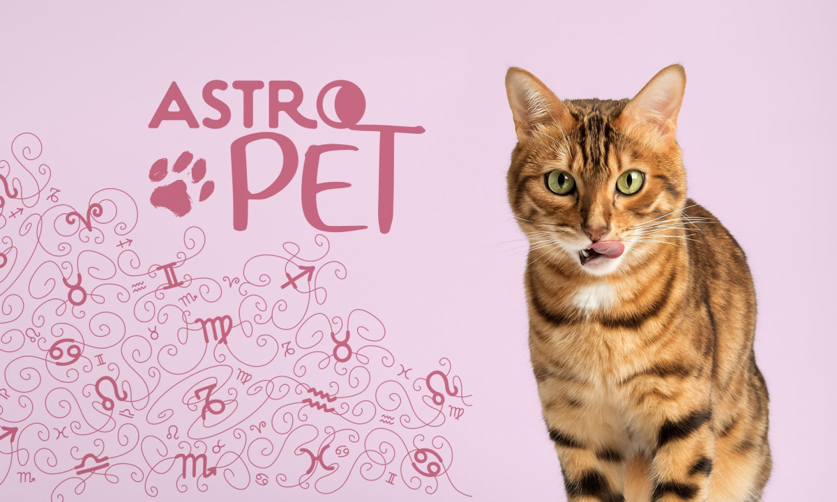 AstroPet από 12/05 έως 18/05: Εβδομαδιαίες προβλέψεις για το κατοικίδιό σου