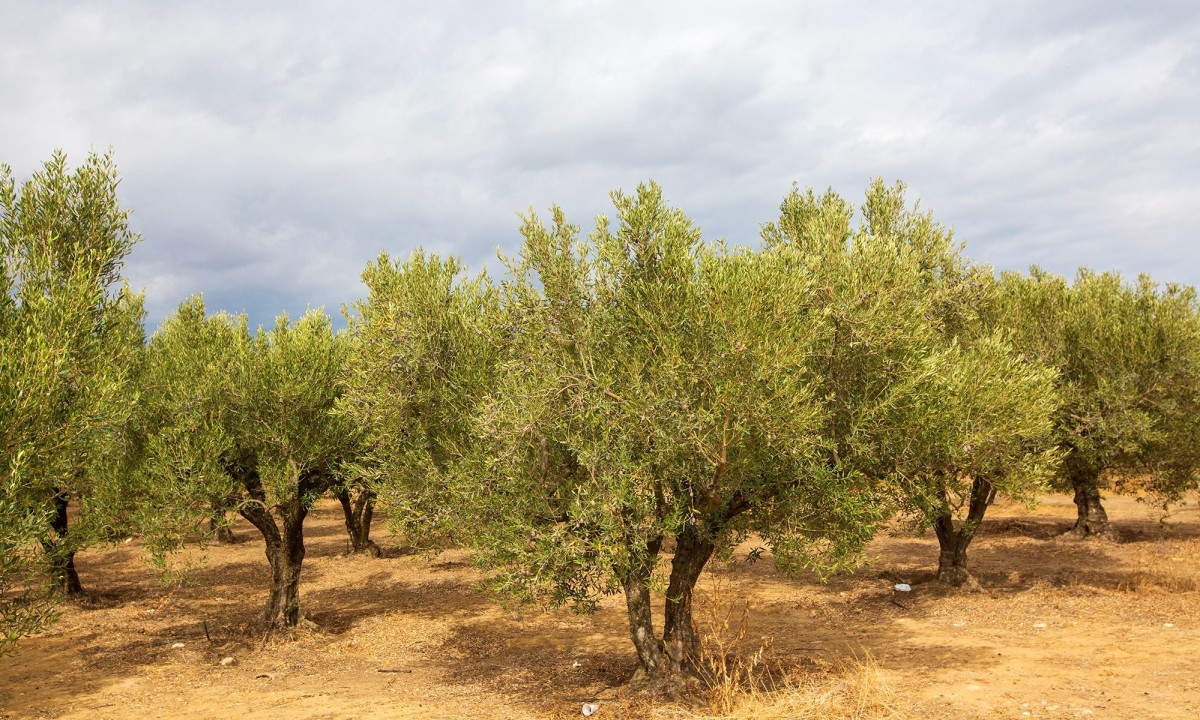 Διάβασε την προσωπική σου πρόβλεψη, για σήμερα 21/07/2026