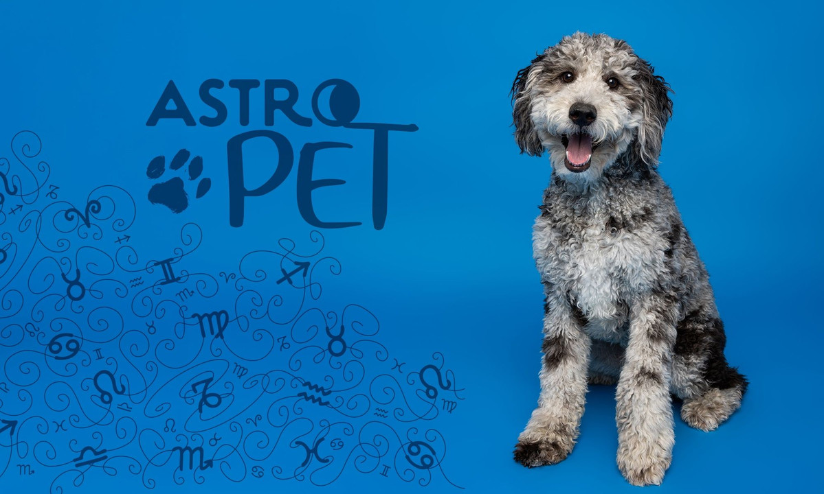 AstroPet από 04/08 έως 10/08: Εβδομαδιαίες προβλέψεις για το κατοικίδιό σου