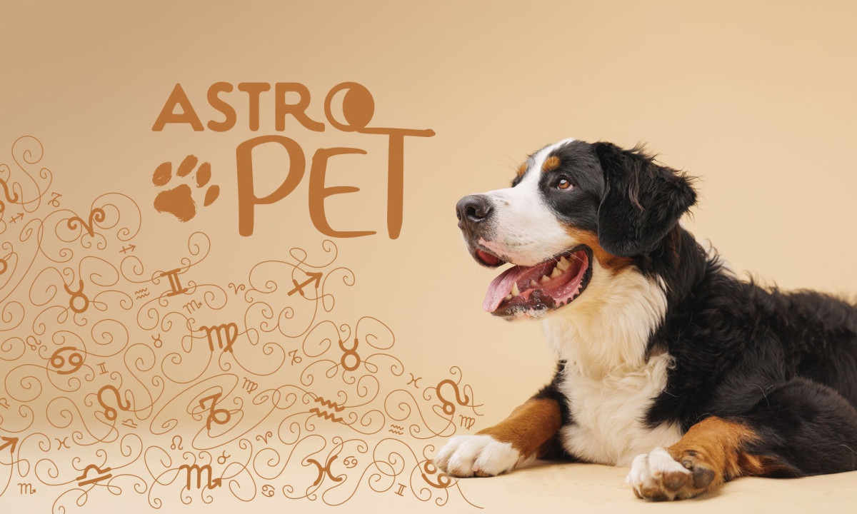 AstroPet από 14/07 έως 20/07: Εβδομαδιαίες προβλέψεις για το κατοικίδιό σου