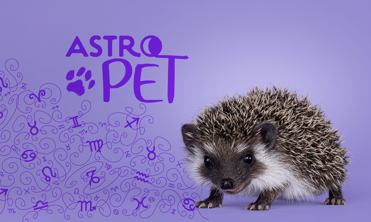 AstroPet από 18/08 έως 24/08: Εβδομαδιαίες προβλέψεις για το κατοικίδιό σου