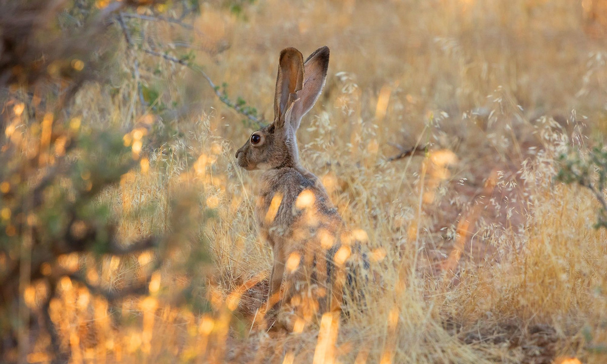 Διάβασε την προσωπική σου πρόβλεψη, για σήμερα 10/08/2026