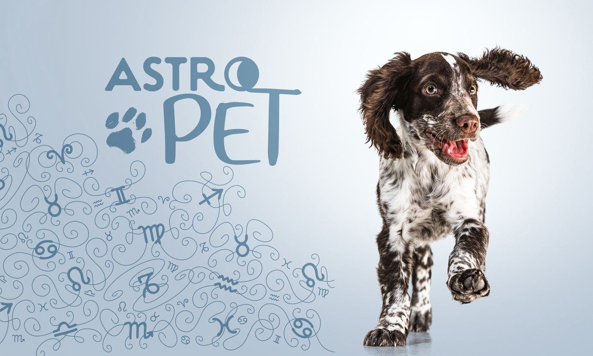 AstroPet από 01/09 έως 07/09: Εβδομαδιαίες προβλέψεις για το κατοικίδιό σου