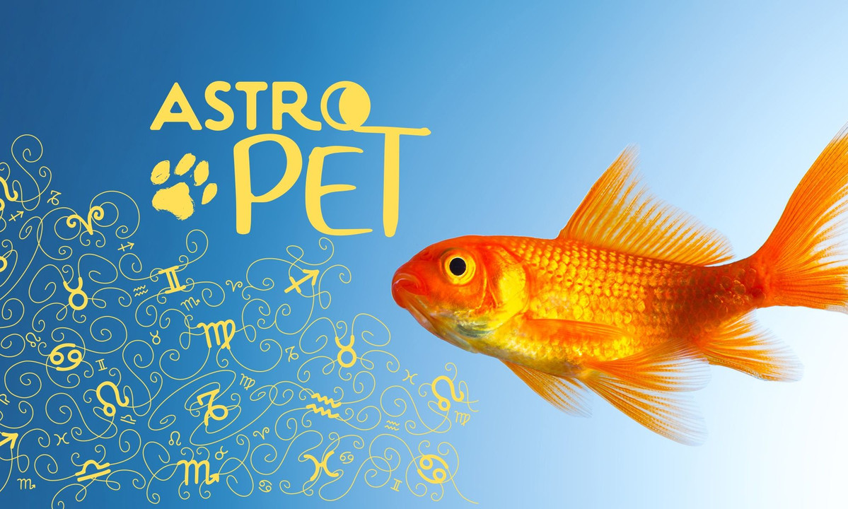AstroPet από 15/09 έως 21/09: Εβδομαδιαίες προβλέψεις για το κατοικίδιό σου