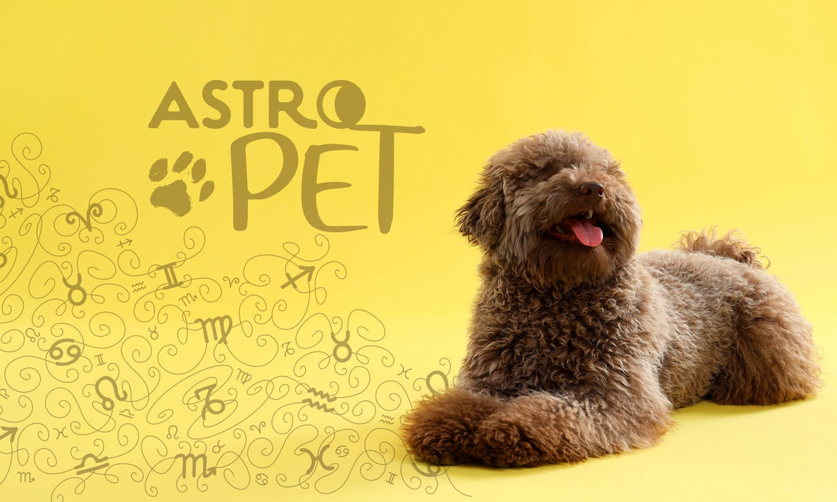 AstroPet από 29/09 έως 05/10: Εβδομαδιαίες προβλέψεις για το κατοικίδιό σου