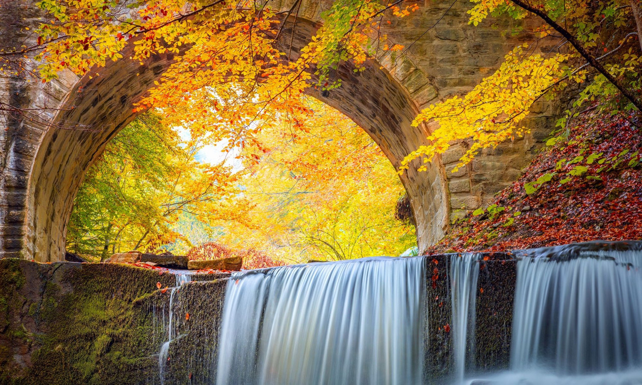 Νοέμβριος 2025: Ποιοι πλανήτες επηρεάζουν τη ζωή σου;