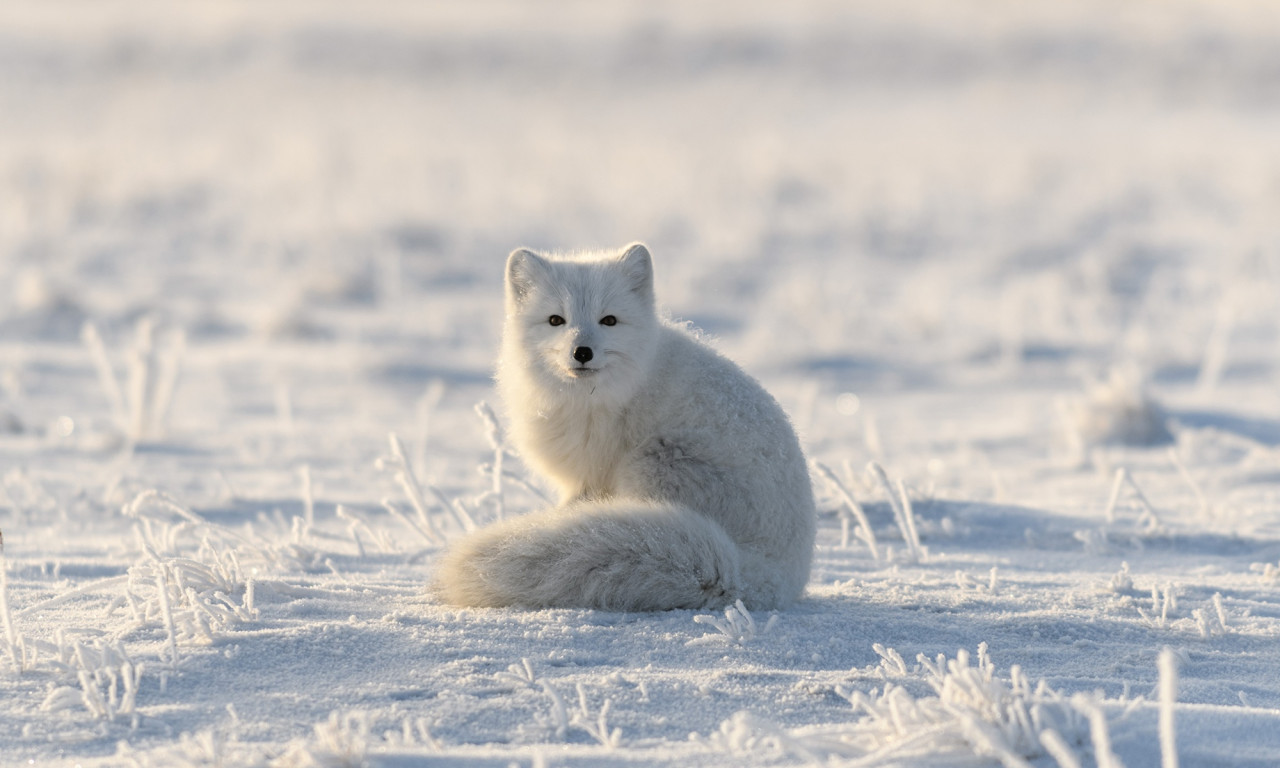Διάβασε την προσωπική σου πρόβλεψη, για σήμερα 09/12/2025
