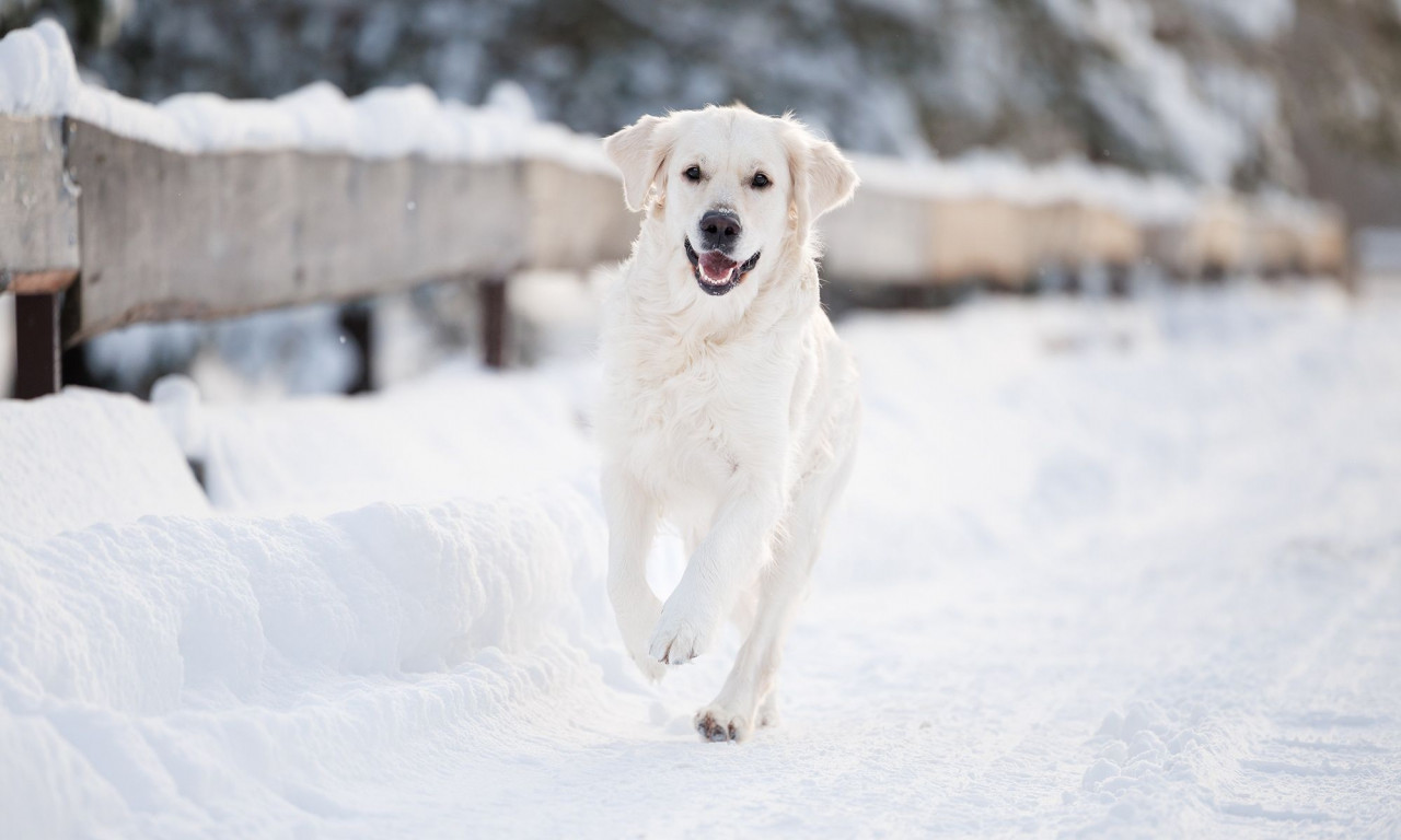 Διάβασε την προσωπική σου πρόβλεψη, για σήμερα 07/02/2026