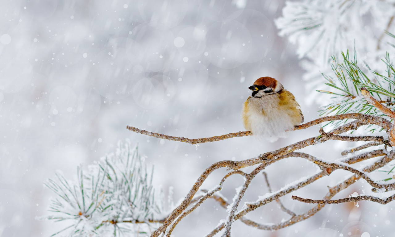Διάβασε την προσωπική σου πρόβλεψη, για σήμερα 09/02/2026