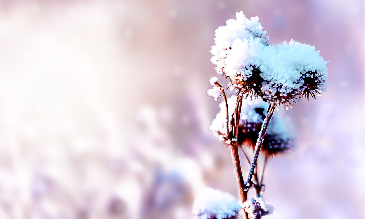 Διάβασε την προσωπική σου πρόβλεψη, για σήμερα 20/02/2026