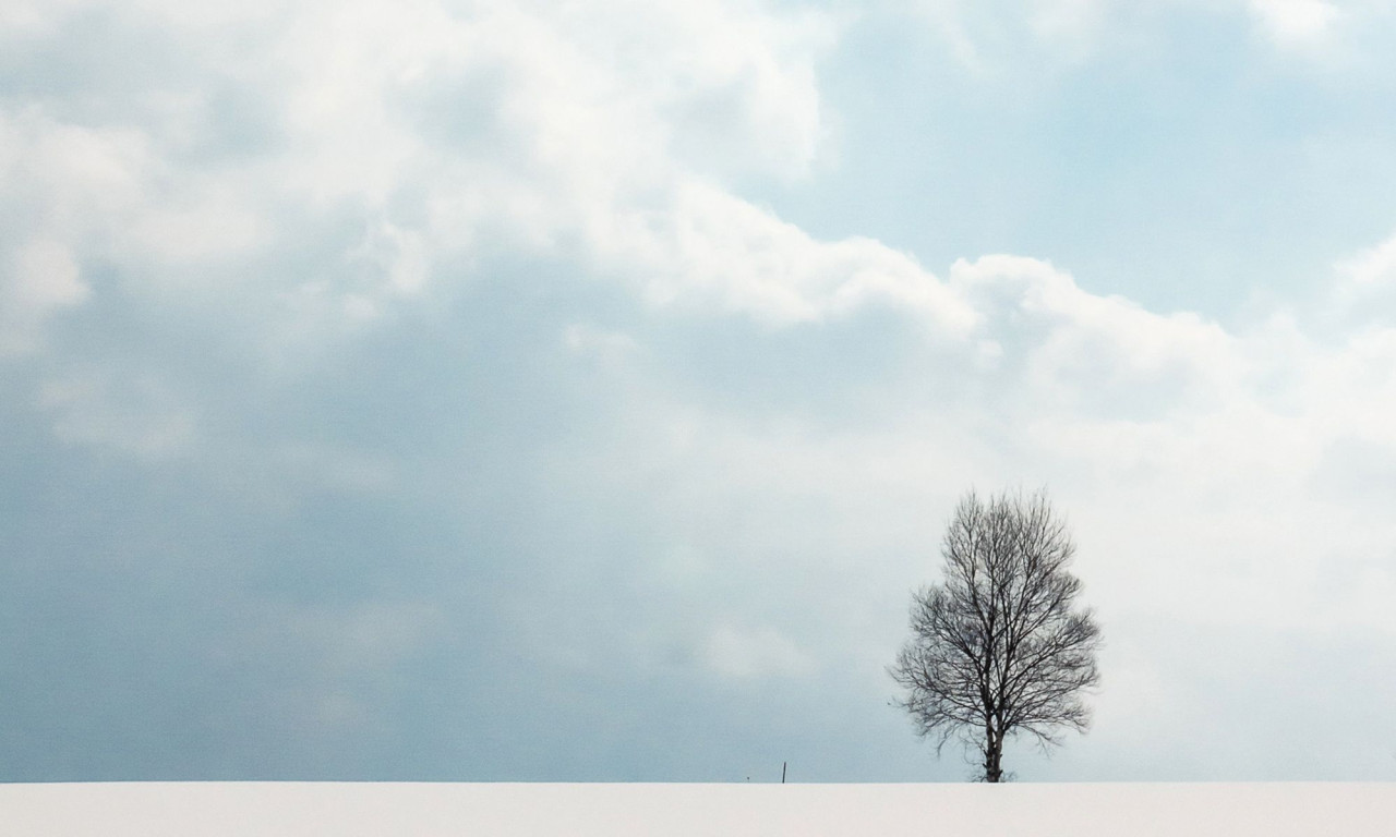 Διάβασε την προσωπική σου πρόβλεψη, για σήμερα 10/02/2026