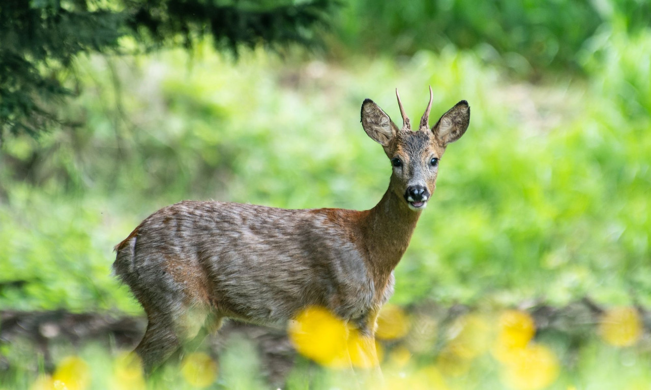 Διάβασε την προσωπική σου πρόβλεψη, για σήμερα 02/03/2026