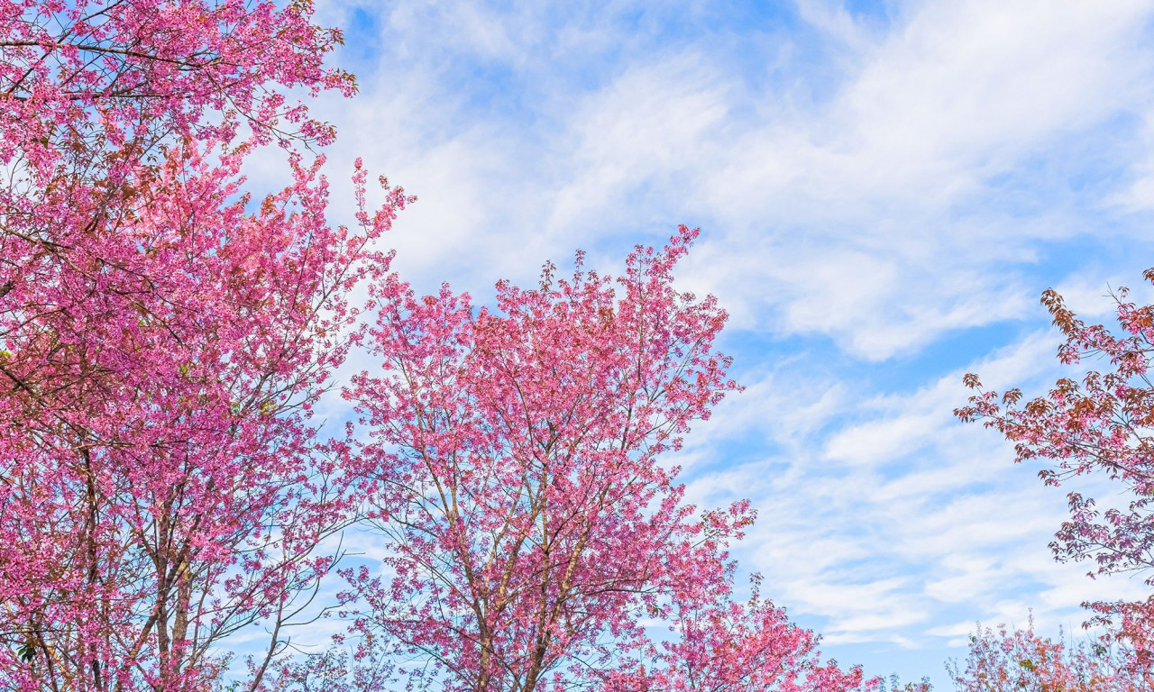 Διάβασε την προσωπική σου πρόβλεψη, για σήμερα 09/03/2026
