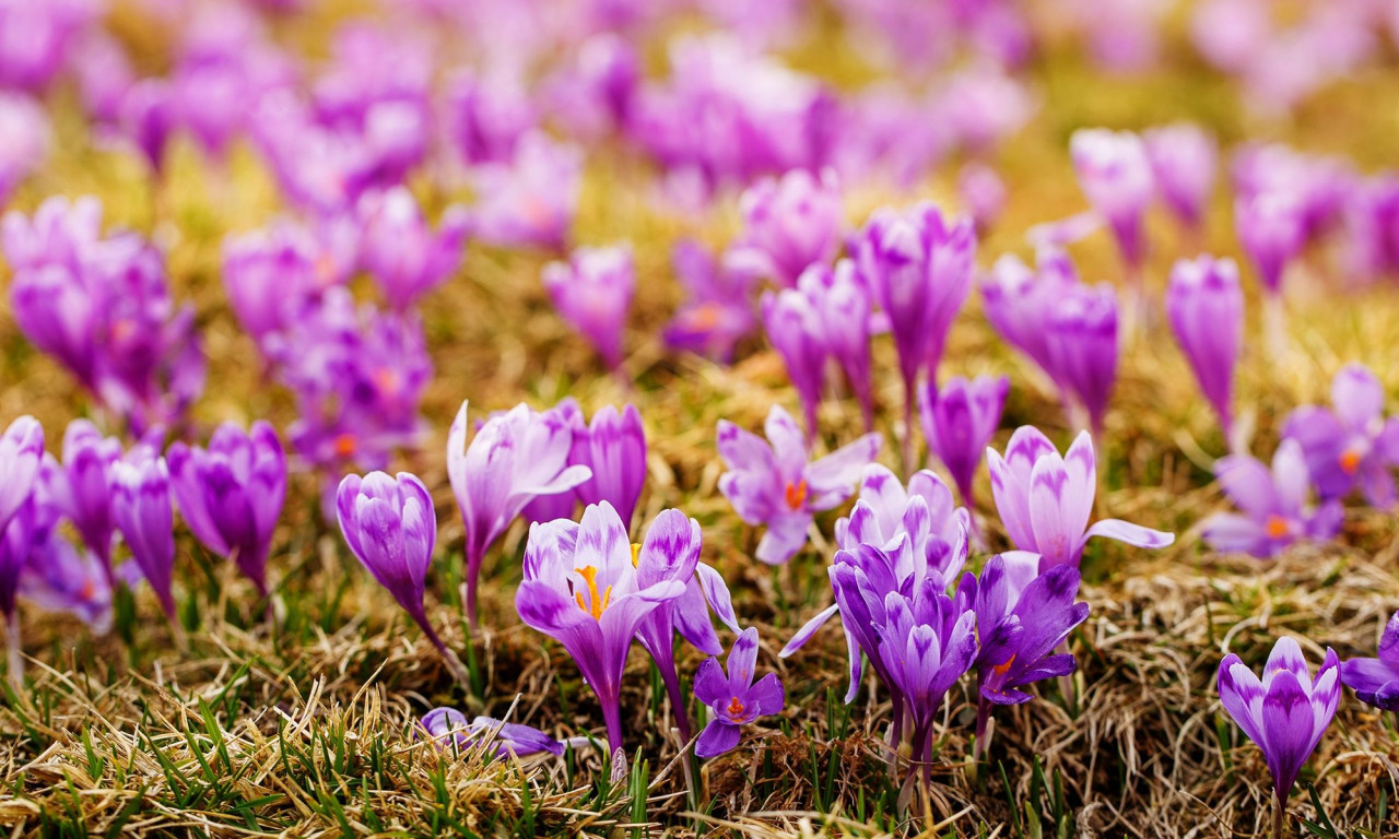 Διάβασε την προσωπική σου πρόβλεψη, για σήμερα 25/03/2026