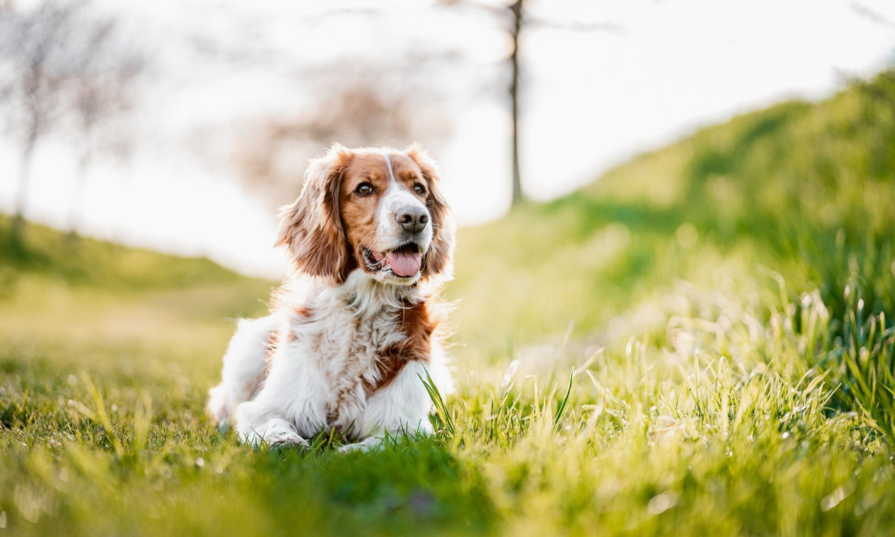 Διάβασε την προσωπική σου πρόβλεψη, για σήμερα 16/03/2026