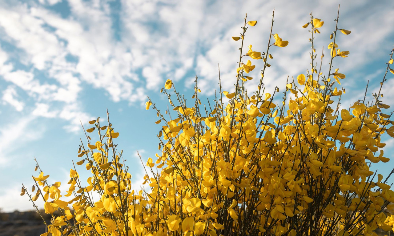 Διάβασε την προσωπική σου πρόβλεψη, για σήμερα 21/03/2026