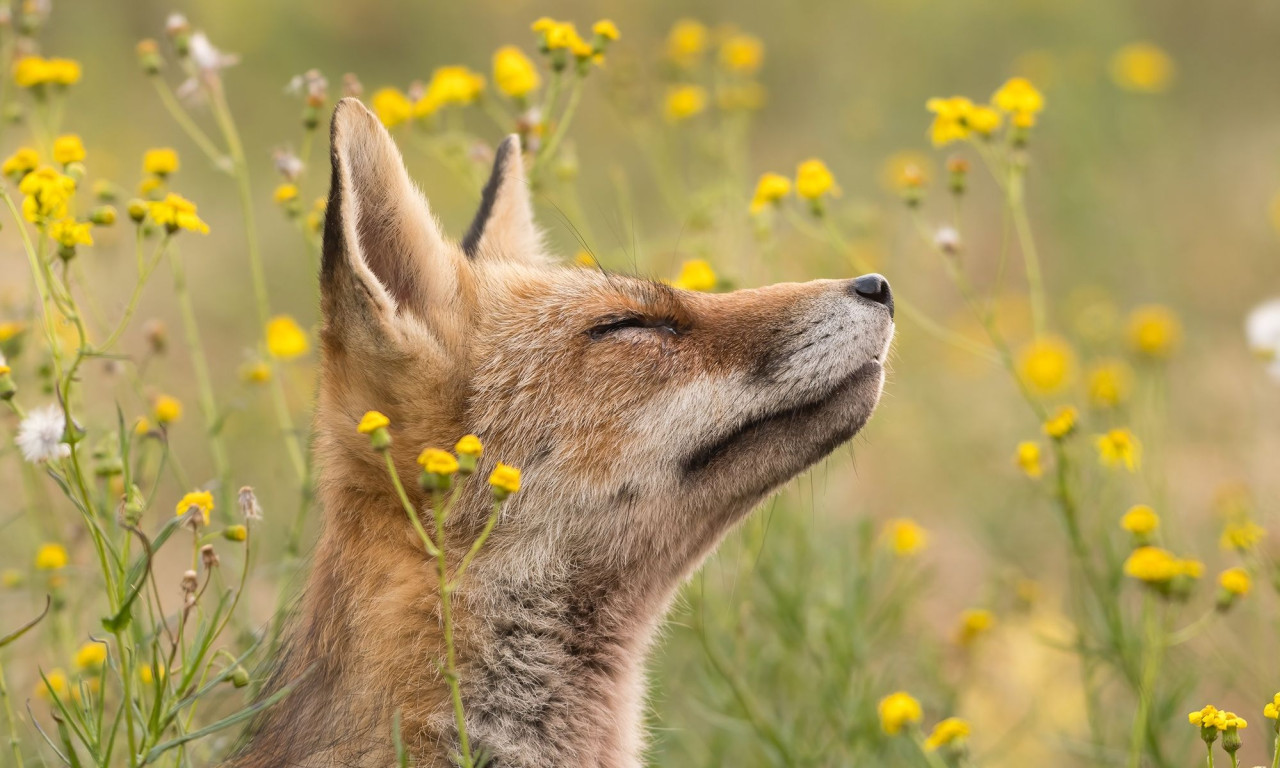 Διάβασε την προσωπική σου πρόβλεψη, για σήμερα 30/03/2026