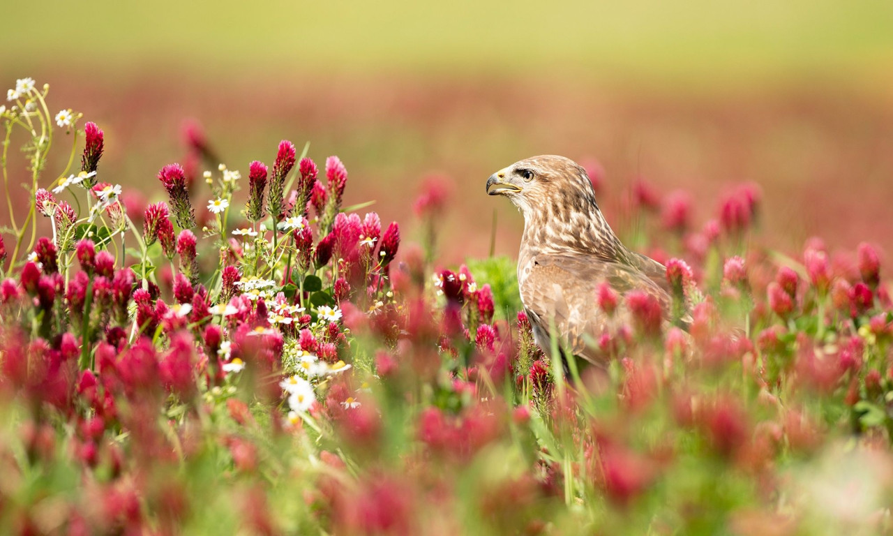 Διάβασε την προσωπική σου πρόβλεψη, για σήμερα 28/03/2026