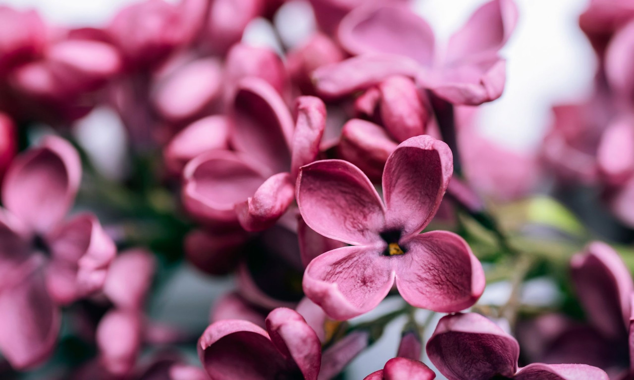 Διάβασε την προσωπική σου πρόβλεψη, για σήμερα 31/03/2026