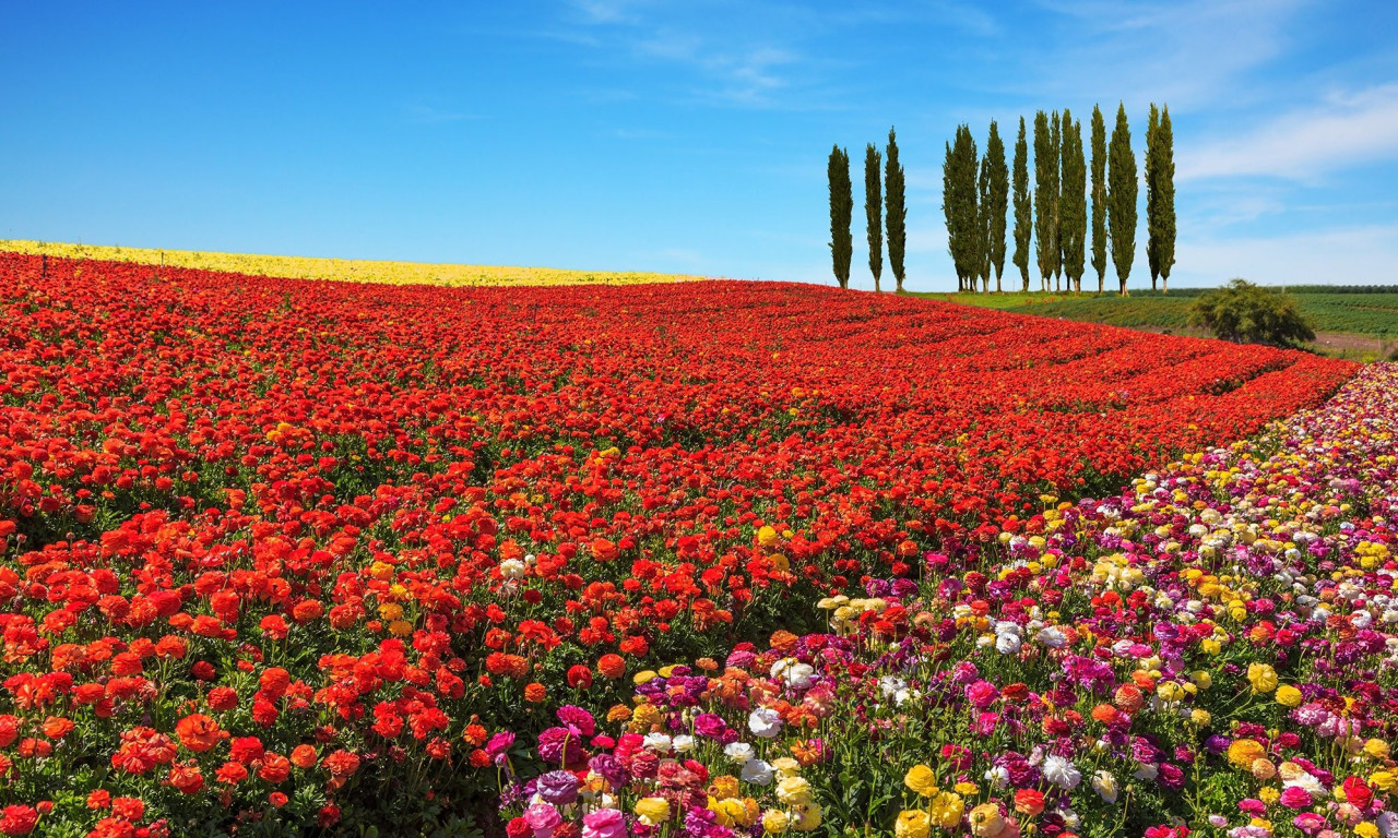 Διάβασε την προσωπική σου πρόβλεψη, για σήμερα 01/04/2026