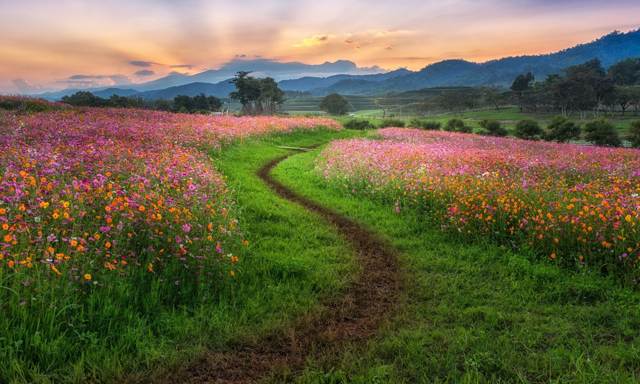 Διάβασε την προσωπική σου πρόβλεψη, για σήμερα 09/04/2026