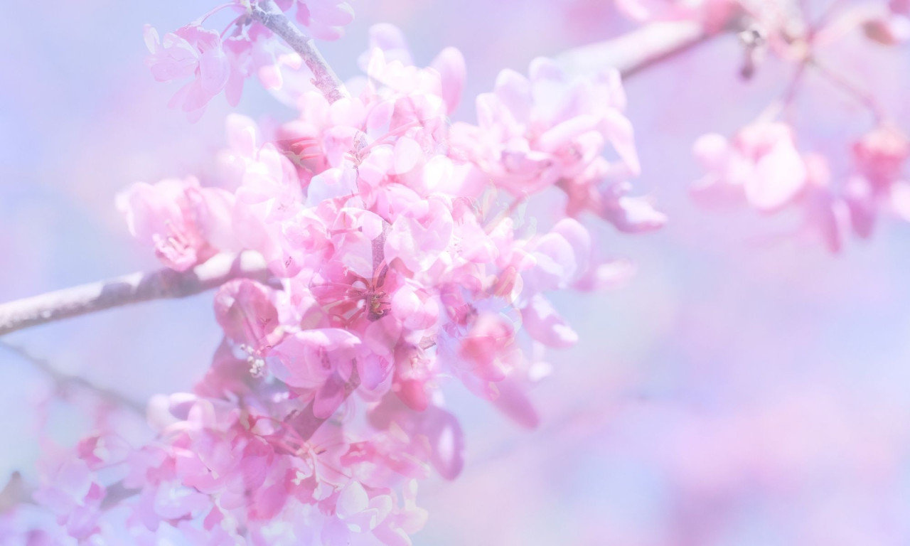 Διάβασε την προσωπική σου πρόβλεψη, για σήμερα 15/04/2026