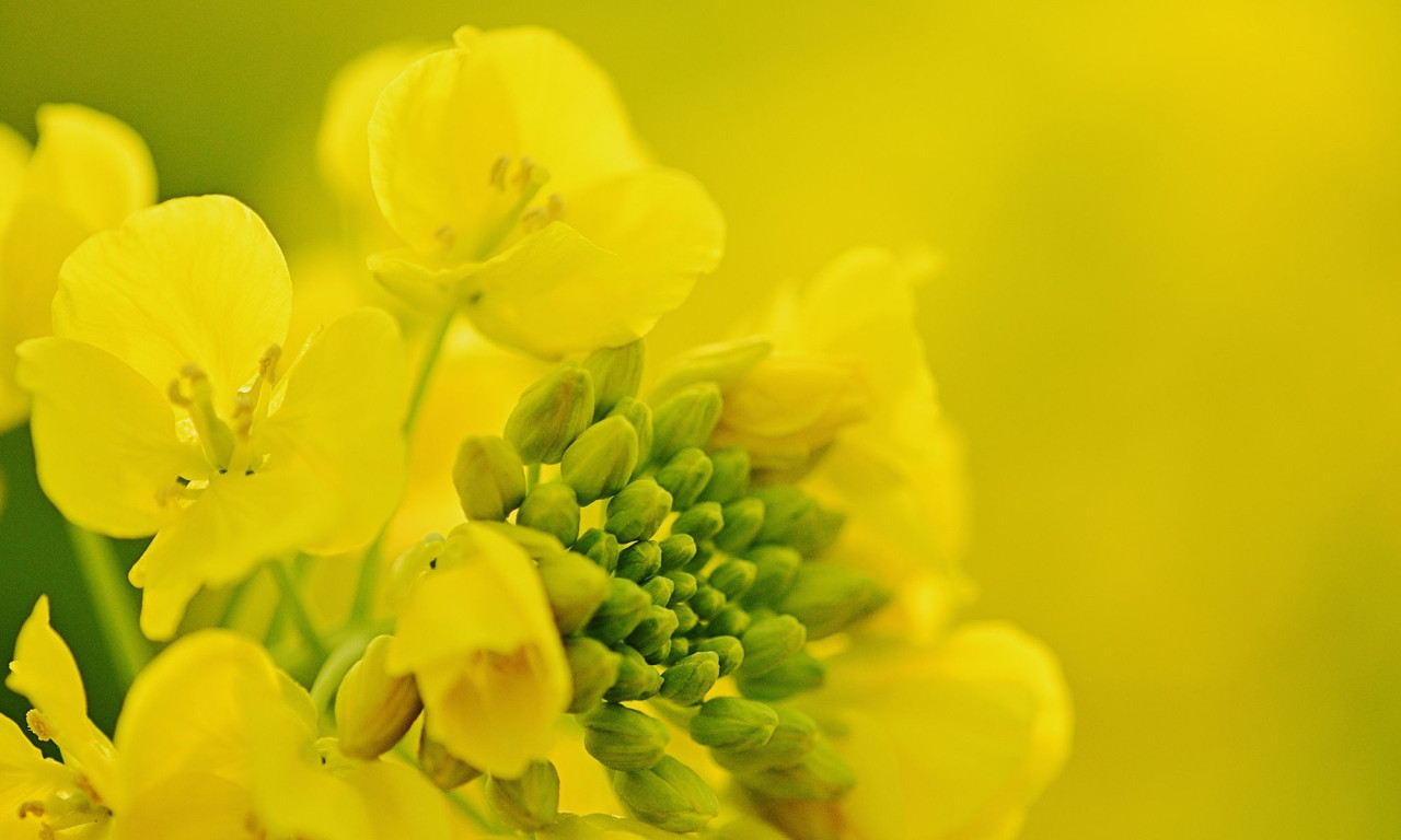 Διάβασε την προσωπική σου πρόβλεψη, για σήμερα 21/04/2026
