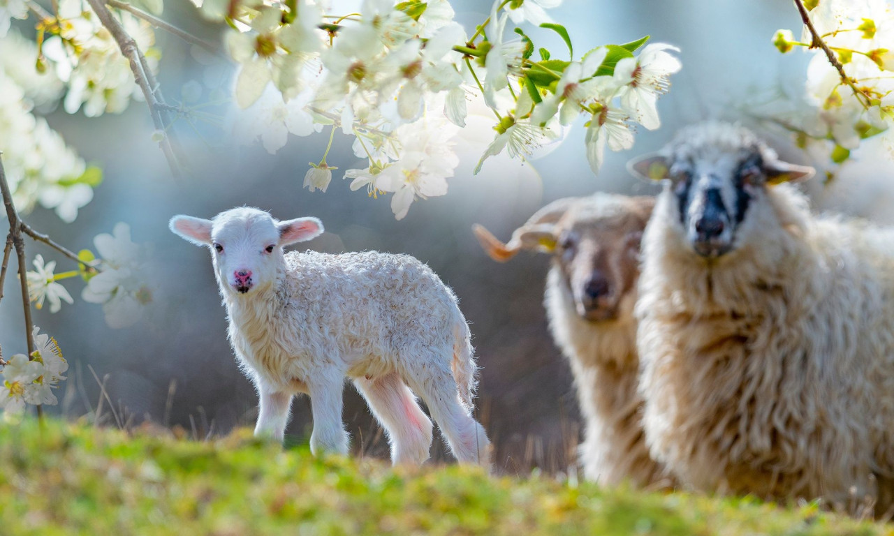 Διάβασε την προσωπική σου πρόβλεψη, για σήμερα 12/04/2026
