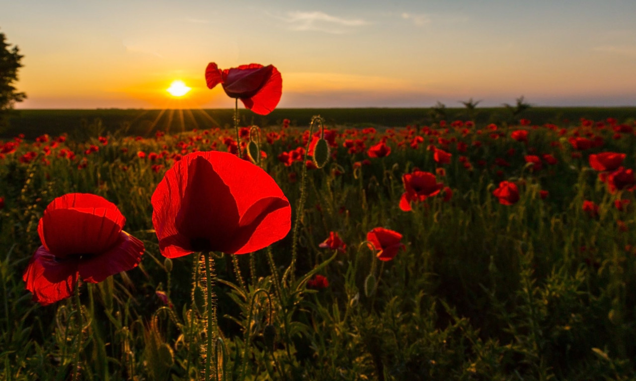 Διάβασε την προσωπική σου πρόβλεψη, για σήμερα 29/04/2026