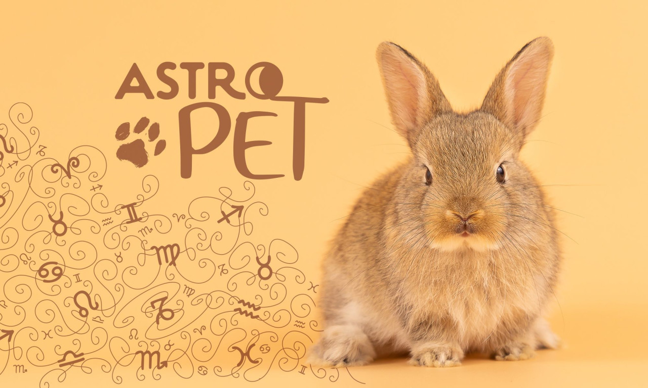 AstroPet από 26/05 έως 01/06: Εβδομαδιαίες προβλέψεις για το κατοικίδιό σου