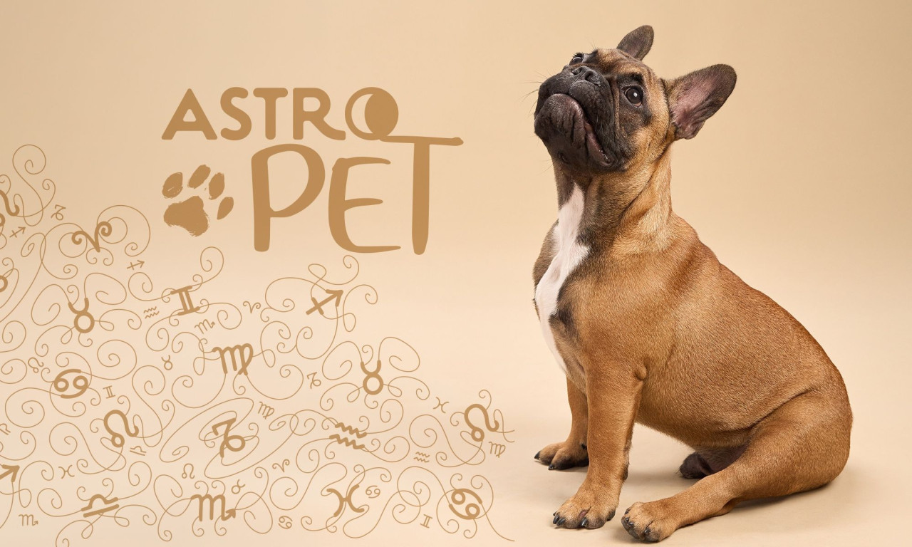 AstroPet από 02/06 έως 08/06: Εβδομαδιαίες προβλέψεις για το κατοικίδιό σου