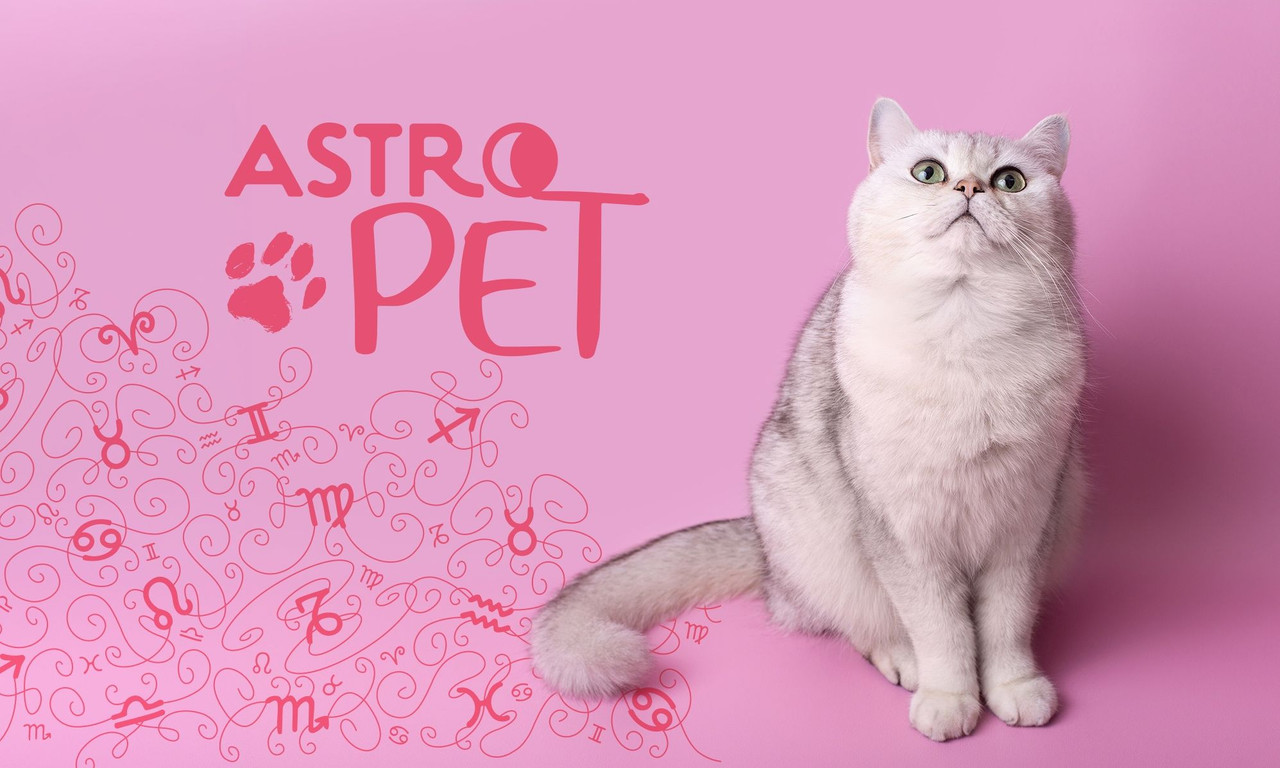 AstroPet από 08/09 έως 14/09: Εβδομαδιαίες προβλέψεις για το κατοικίδιό σου