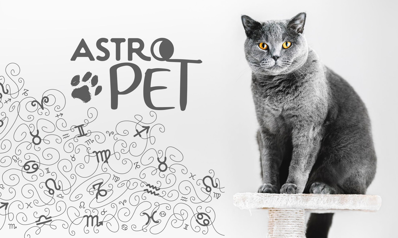 AstroPet από 06/10 έως 12/10: Εβδομαδιαίες προβλέψεις για το κατοικίδιό σου