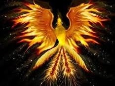 Ελλάδα 2011-Ο φοίνικας αναγεννιέται