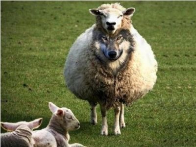 Κυβέρνηση ΠΑΣΟΚ–Εισαγόμενη εμπιστοσύνη